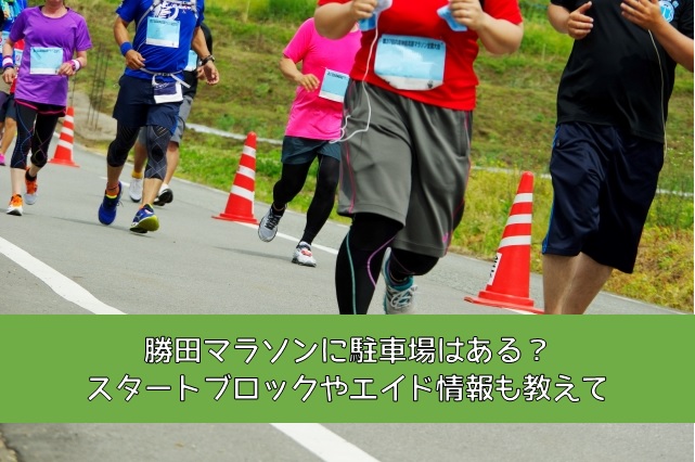 勝田マラソン2